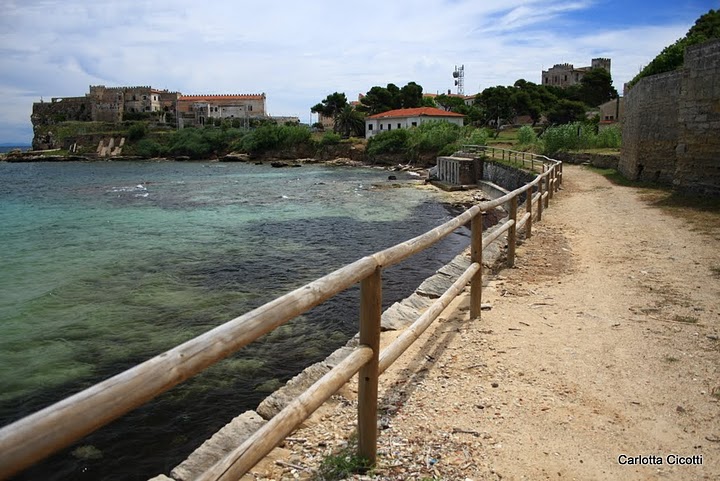 Isola d'Elba, Immagine di Carlotta Cicotti