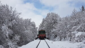 Ferrovie dei parchi